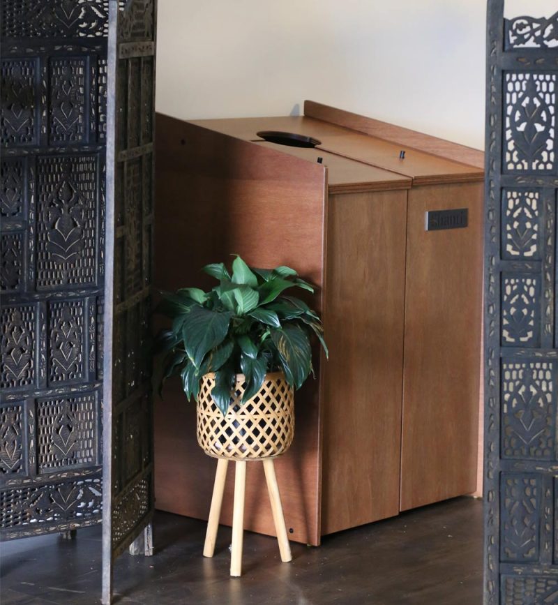 Ayurvedic Steam Box Session